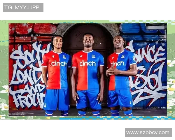 美国足球联赛明星球员全名单解析与赛季前瞻